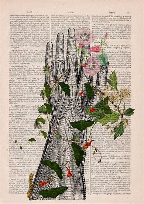 Beautiful Floral Anatomy Illustrations Give New Life To Discarded Pages