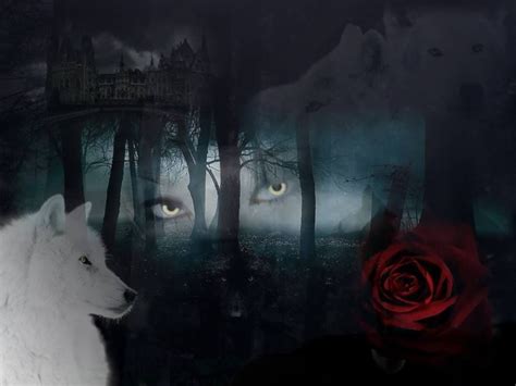 Pin By Stormy Leigh Jones On Bewitched By The Wolf Wolf Art Painting