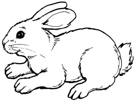 Simple free rabbit coloring page to print and color. Bunny Coloring Pages - Best Coloring Pages For Kids