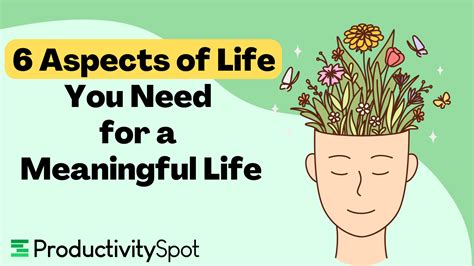 6 Aspects Of Life You Need For A Meaningful Life Ps