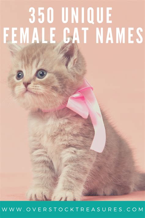 Famous Cute Sister Cat Names Ideas Peepsburghcom