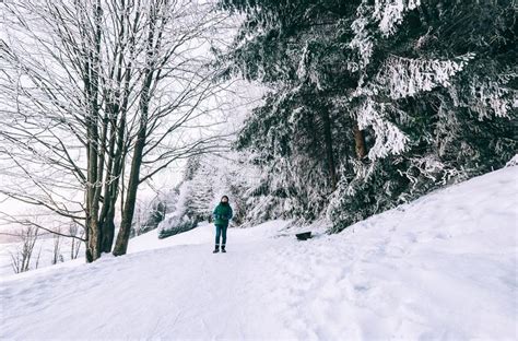 Boy Walks In Snow Forest Stock Photo Image Of Nature 102825556