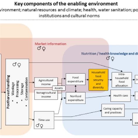 Gendered Pathways From Agriculture To Food Security And Nutrition Download Scientific Diagram