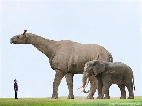 Largest Elephant Species Ever - repro