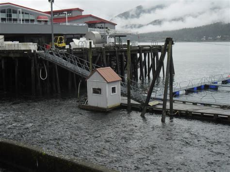Juneau Salmon Hatchery Forced To Destroy Fish Because Of Landslide Damage