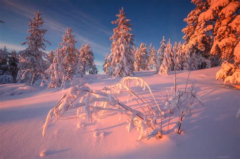 Sunny Winter Landscape Photography Beautiful Nature Scenery