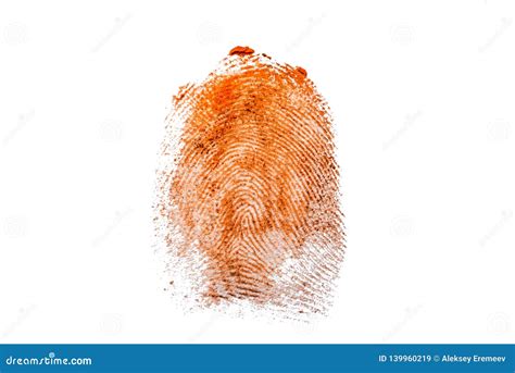 Fingerprint Texture Personal Id Thumbprint Vector