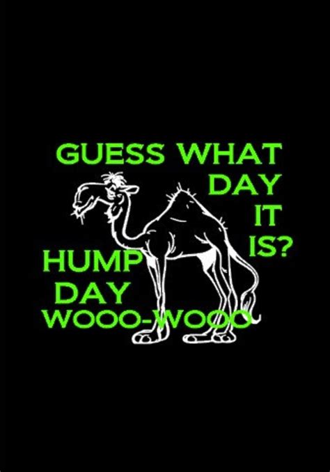 Items Similar To Funny Black Commercial Camel Hump Day Shirt On Etsy