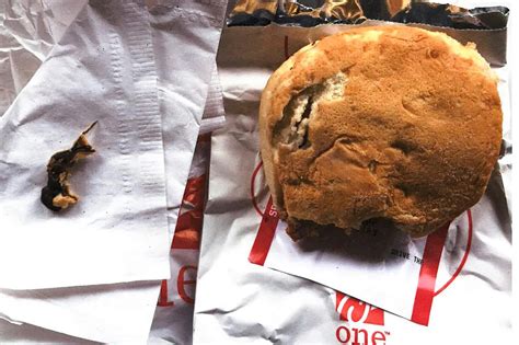 Chick Fil A Customer Claims Dead Rodent Was In Chicken Sandwich