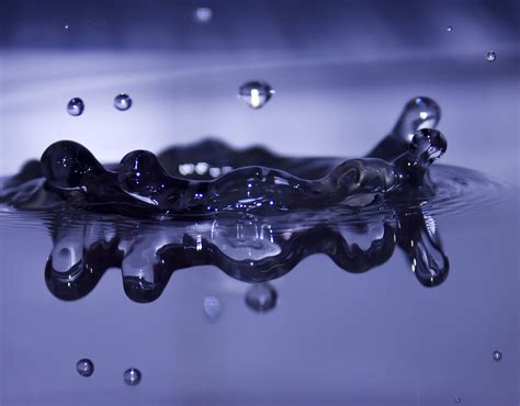 Macro Photo Of Water Drops Hd Wallpaper Wallpaper Flare