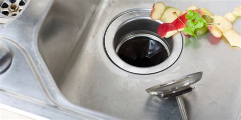 9 Things You Should Never Put In Your Garbage Disposal Mike Diamond