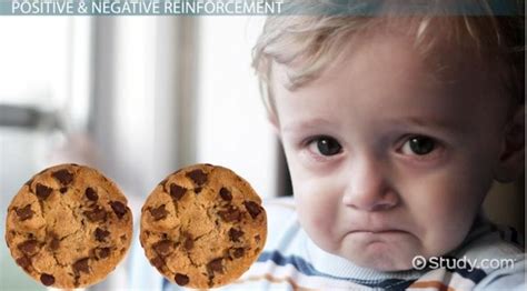 Reinforcements in Psychology: Definition & Examples ...