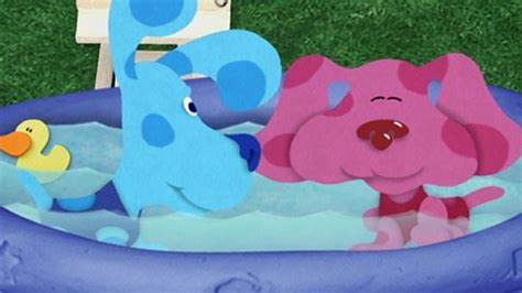 Watch Blue S Clues Season 3 Episode 11 Pool Party Full Show On CBS
