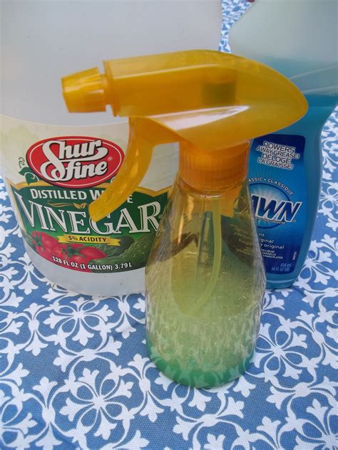 Glass shower doors have that magical power to get dirty quickly with hard water deposits and soap scum. Homemade Tub & Shower Cleaner | Shower cleaner, Glass ...