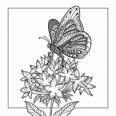 Coloring Butterfly Premium Vector Illustration Freepik Save