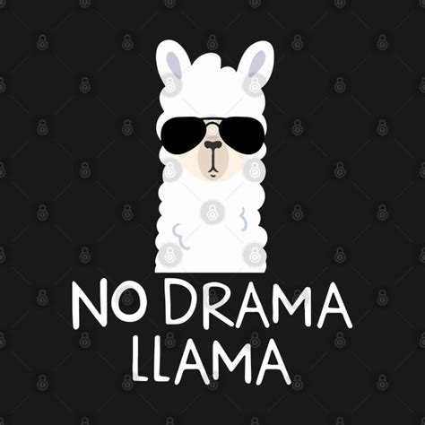 No Drama Llama Alpaca With Sunglasses Llama Lovers T No Drama