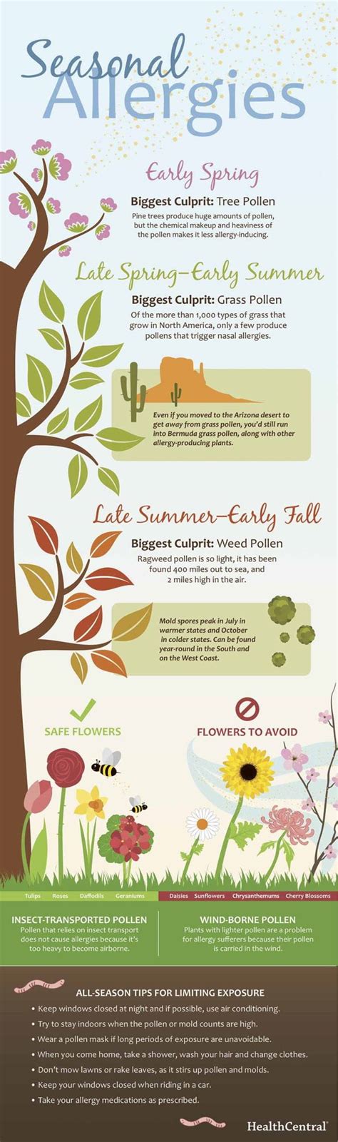 Infographic Allergy Season Is Here Msd Manual Consumer Version