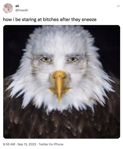 Staring Eagle Man Meme Staring Eagle Know Your Meme