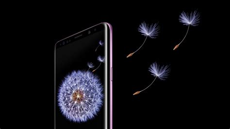 Download Samsung Galaxy S9 And S9 Stock Wallpapers Qhd