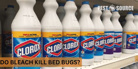 Does Bleach Kill Bed Bugs Pest Source