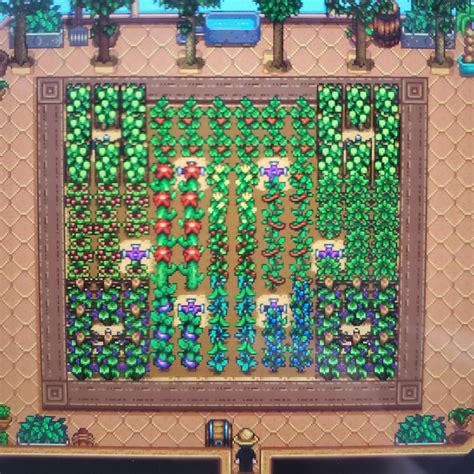 Stardew Greenhouse Sprinkler Layout - vrogue.co