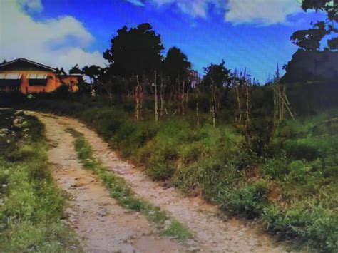 land part of lynhurst mile gully manchester demim realty real estate in jamaica houses