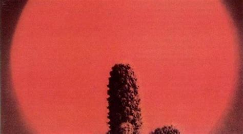 Слушать you can t judge a book by its cover cactus online или скачать рингтон, кавер, минус для своего телефона и планшета. Cactus - First Album | radioalligator.com
