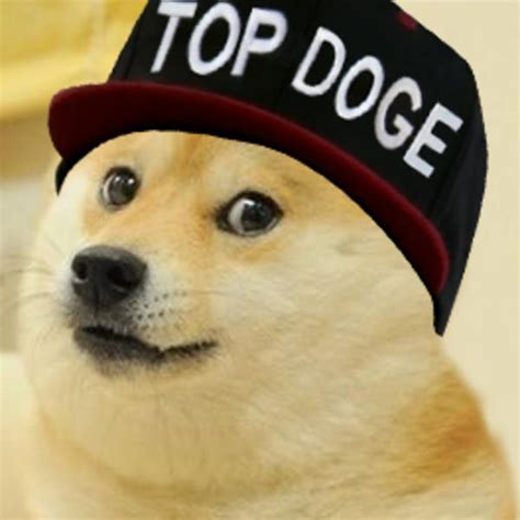 Top Doge Doge Know Your Meme