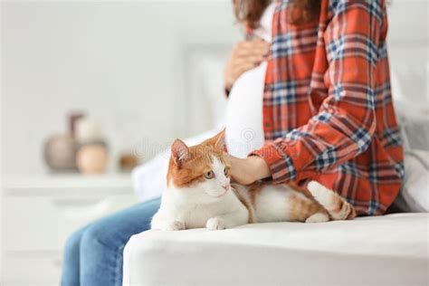 Young Pregnant Woman With Cute Cat Stock Image Image Of Kitty