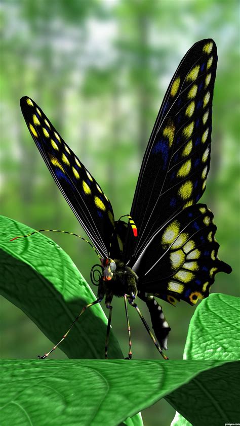 3d Contest Pictures Of Butterfly Image Page 1