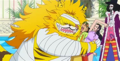 Brook Robinusopp Et Nekomamushi One Piece One Piece Anime Anime