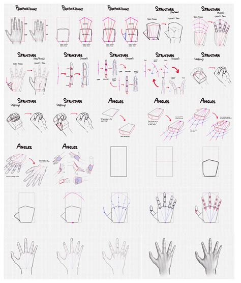 How To Draw Hands A Step By Step Guide Artlex How To Draw Hands