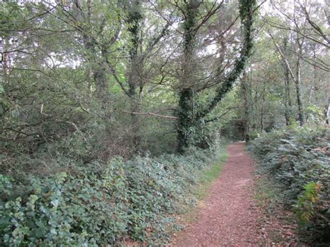 Bridleway East Budleigh Common Jonathan Thacker Geograph Britain And Ireland