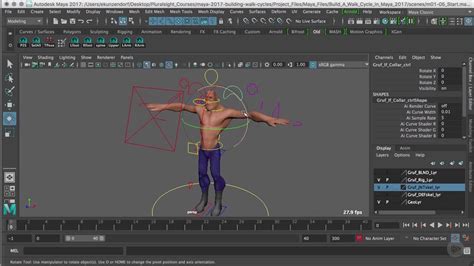 Introducing A Character Rig In Maya Youtube