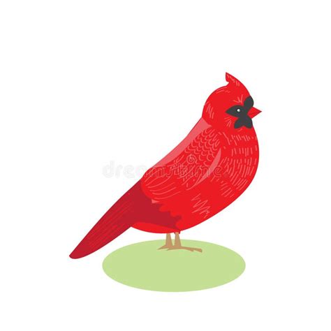 Bird Red Cardinal Vector Illustration Of A Beautiful Bird Red Stock