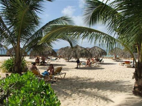 Beautiful Beaches Picture Of Viva Wyndham Dominicus Palace