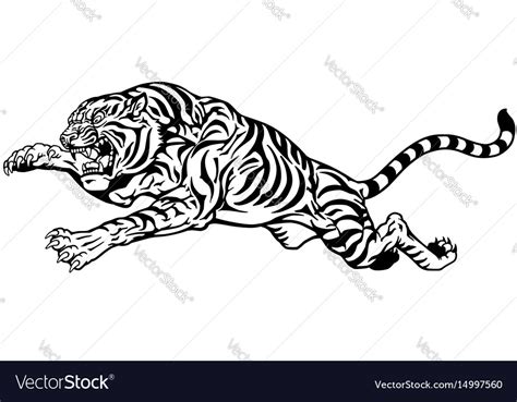 Jumping Tiger Black And White Royalty Free Vector Image