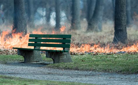 Controlled Burn Creates Apocalyptic Scene In High Park