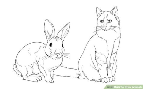 Each month members are rewarded with reference photos, line drawings, hints & tips, downloadable tutorials & full voiceover tutorial videos. 3 Ways to Draw Animals - wikiHow