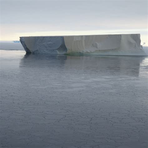 This Is A Tabular Iceberg Tabular Icebergs Have Steep Sides And A Flat