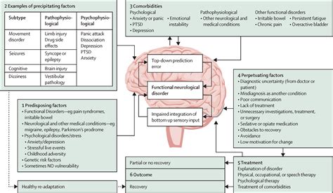 Functional Neurological Disorder New Subtypes And Shared Mechanisms