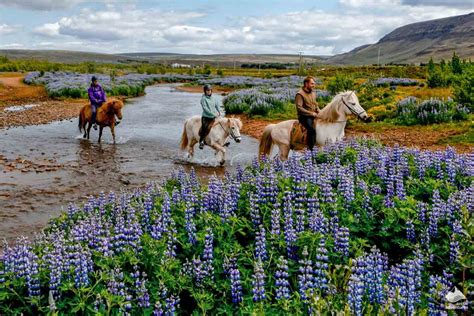 Popular Activities In Iceland Arctic Adventures