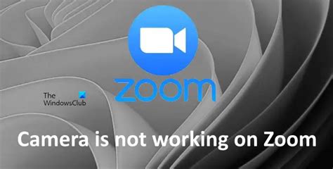 Камера не работает в Zoom в Windows 1110 Zanz