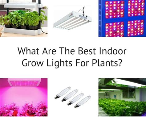What is the best light for plants? What Are The Best Indoor Grow Lights For Plants? - Smart ...