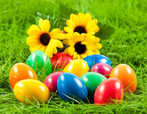 Easter Eggs In Fresh Green Grass Stock Image Colourbox