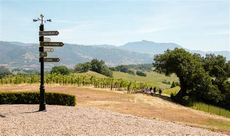 Best Hiking In Sonoma County Vineyard Hikes With Views