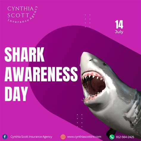 As We Celebrate Shark Awareness Day Were Reminded Of The Importance