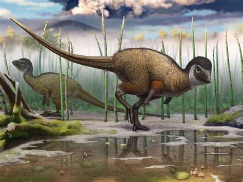 Earliest Dinosaurs May Have Sported Feathers Science Aaas