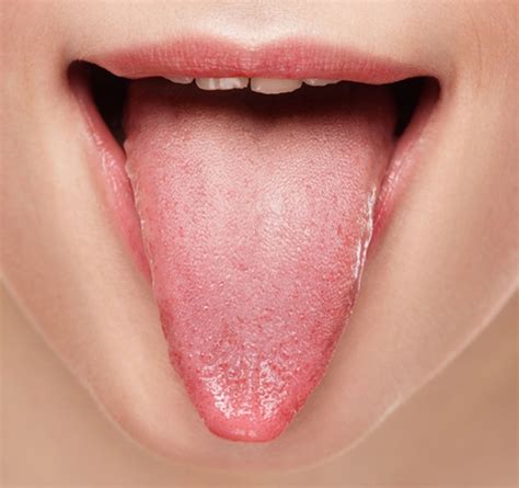 The meaning and symbolism of the word - «Tongue»