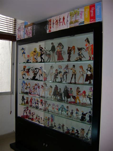 12 Diy Display Cases Ideas Which Make Your Stuff More Presentable